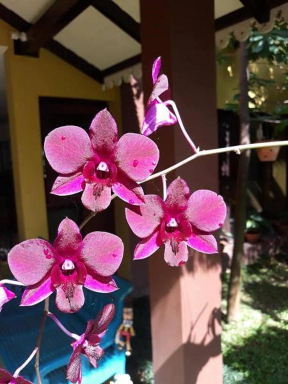 Thanakha Inle Hotel Nyaung Shwe Exterior photo